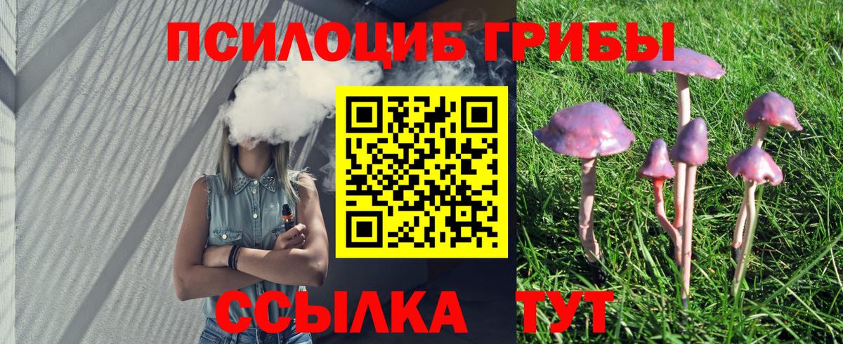 Галлюциногенные грибы Psilocybine cubensis  Вход с VPN  Псилоцибиновые грибы Cubensis  Амурск 