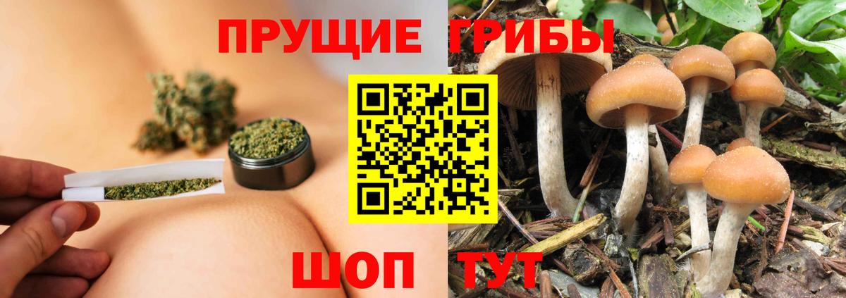 Псилоцибиновые грибы Magic Shrooms Амурск